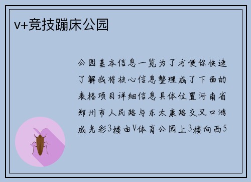 v+竞技蹦床公园